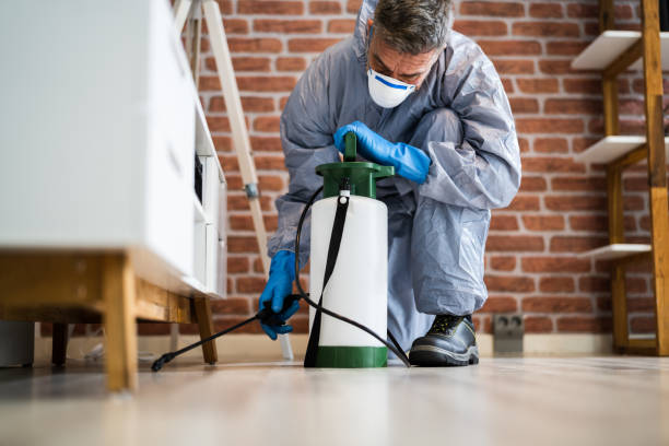 Best Pest Control for Multi-Family Homes  in Bull Mountain, OR